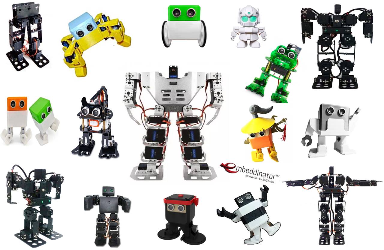 Humanoid Robotic DIY Kit